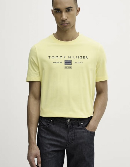 Tommy Hilfiger T-shirt